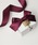 e.m.�i�C�[�G���j�́uGIFTBOX KEY �l�b�N���X�E�s�A�X�{�b�N�X�i���b�s���O�L�b�g�j�v�b���b�h
