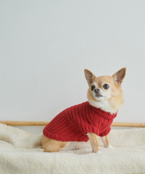 ROPE' PICNIC（ロペピクニック）の「【CM着用商品】【DOG】【WEB限定カラー:ベージュ】リブ切り替えニットプルオーバー/リンクコーデ（ペットウェア・レディース・スミクロ/ベージュ/キナリ/ピンク系その他2/ブルー系その他6/レッド/イエロー/ライトグリーン・M/M size/L/S）」の8枚目の写真
