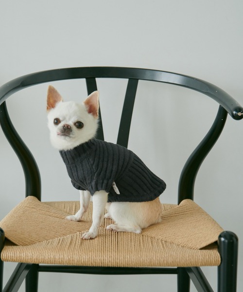 ROPE' PICNIC（ロペピクニック）の「【CM着用商品】【DOG】【WEB限定カラー:ベージュ】リブ切り替えニットプルオーバー/リンクコーデ（ペットウェア・レディース・スミクロ/ベージュ/キナリ/ピンク系その他2/ブルー系その他6/レッド/イエロー/ライトグリーン・M/M size/L/S）」の3枚目の写真