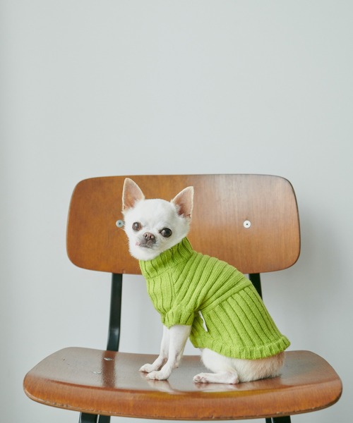 ROPE' PICNIC（ロペピクニック）の「【CM着用商品】【DOG】【WEB限定カラー:ベージュ】リブ切り替えニットプルオーバー/リンクコーデ（ペットウェア・レディース・スミクロ/ベージュ/キナリ/ピンク系その他2/ブルー系その他6/レッド/イエロー/ライトグリーン・M/M size/L/S）」の4枚目の写真