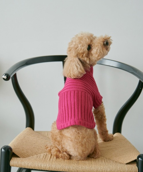 ROPE' PICNIC（ロペピクニック）の「【CM着用商品】【DOG】【WEB限定カラー:ベージュ】リブ切り替えニットプルオーバー/リンクコーデ（ペットウェア・レディース・スミクロ/ベージュ/キナリ/ピンク系その他2/ブルー系その他6/レッド/イエロー/ライトグリーン・M/M size/L/S）」の7枚目の写真