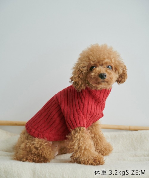 ROPE' PICNIC（ロペピクニック）の「【CM着用商品】【DOG】【WEB限定カラー:ベージュ】リブ切り替えニットプルオーバー/リンクコーデ（ペットウェア・レディース・スミクロ/ベージュ/キナリ/ピンク系その他2/ブルー系その他6/レッド/イエロー/ライトグリーン・M/M size/L/S）」の10枚目の写真