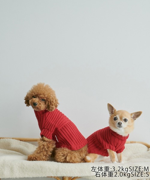 ROPE' PICNIC（ロペピクニック）の「【CM着用商品】【DOG】【WEB限定カラー:ベージュ】リブ切り替えニットプルオーバー/リンクコーデ（ペットウェア・レディース・スミクロ/ベージュ/キナリ/ピンク系その他2/ブルー系その他6/レッド/イエロー/ライトグリーン・M/M size/L/S）」の11枚目の写真