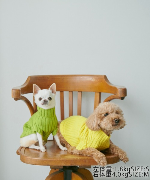 ROPE' PICNIC（ロペピクニック）の「【CM着用商品】【DOG】【WEB限定カラー:ベージュ】リブ切り替えニットプルオーバー/リンクコーデ（ペットウェア・レディース・スミクロ/ベージュ/キナリ/ピンク系その他2/ブルー系その他6/レッド/イエロー/ライトグリーン・M/M size/L/S）」の13枚目の写真