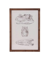 DULTON(_g)ART FRAME TRICERATOPS/Ǌ| A[g t[(|X^[/A[g)