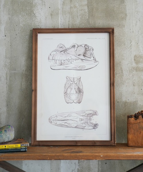 ART FRAME TRICERATOPS/壁掛け アート フレーム（ポスター/アート