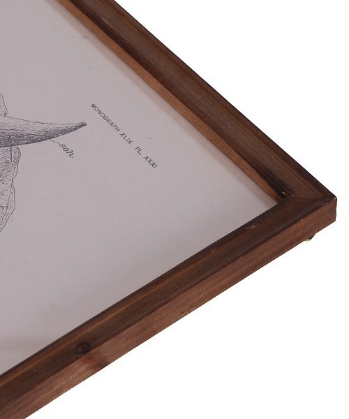 ART FRAME TRICERATOPS/壁掛け アート フレーム（ポスター/アート