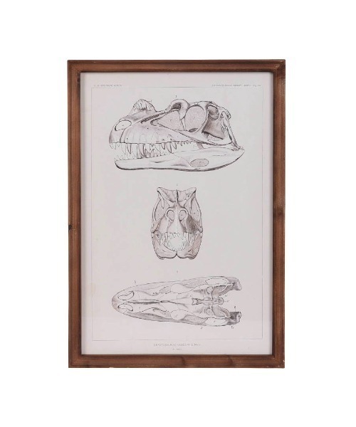 ART FRAME TRICERATOPS/壁掛け アート フレーム（ポスター/アート