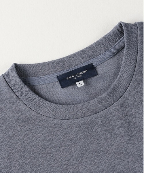 BACK NUMBER(バックナンバー)の「BACK NUMBER(バックナンバー)【メンズ】フクレジャガードフェイクレイヤードロングスリーブTシャツ(Tシャツ/カットソー・メンズ・ダークグレー/ライトグレー/ベージュ・M/L/XL)」の5枚目の写真