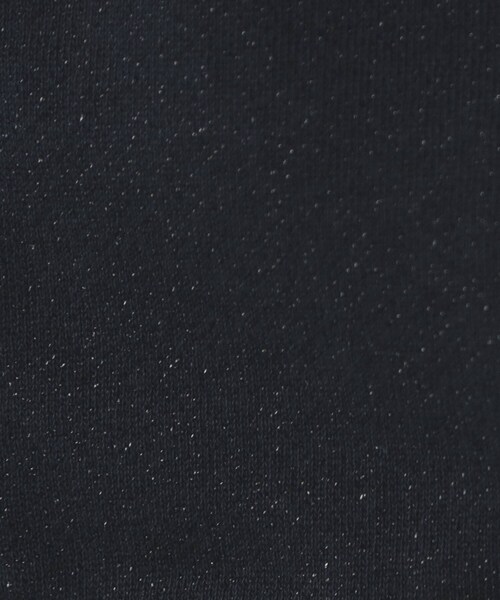 index（インデックス）の「ラメ裏毛コンパクトジップパーカー【洗濯機OK】（パーカー・レディース・ネイビー/ナチュラル/グレー・00）」の16枚目の写真