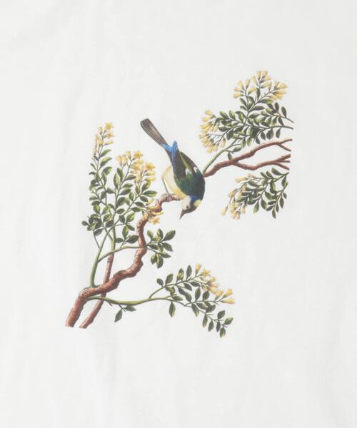 ITEMS URBANRESEARCH(アイテムズ アーバンリサーチ)の「NYBG PRINTED TSH(Tシャツ/カットソー・メンズ・その他5/その他6/その他4/その他3/その他2/その他1・MEDIUM/LARGE)」の10枚目の写真