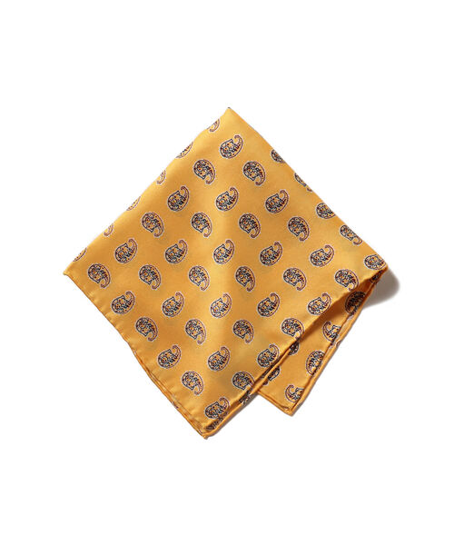 BEAMS PLUS / ビッグ ペイズリープリント シルク チーフ（ハンカチ/ハンドタオル）｜BEAMS PLUS（ビームスプラス） 6,314円