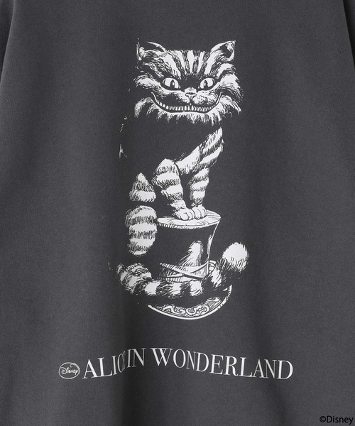 LOWRYS FARM（ローリーズファーム）の「ＡＬＩＣＥ/バックプリントウラケ　247298（Tシャツ/カットソー・キッズ・チャコールグレー/グレー・120cm/140cm/130cm/150cm/110cm）」の16枚目の写真
