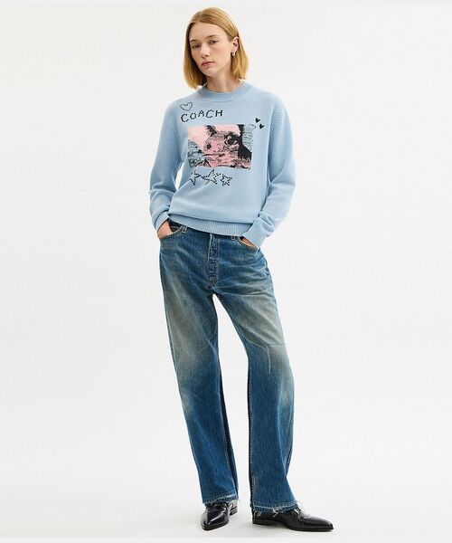 COACH(コーチ)の「バニー グラフィック インターシャ クルーネック セーター(ニット/セーター・レディース・ブルー系その他・MEDIUM/SMALL/X-SMALL)」の3枚目の写真