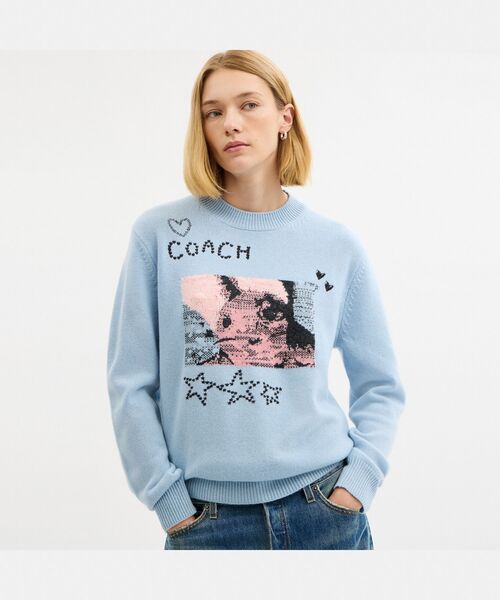 COACH(コーチ)の「バニー グラフィック インターシャ クルーネック セーター(ニット/セーター・レディース・ブルー系その他・MEDIUM/SMALL/X-SMALL)」の5枚目の写真