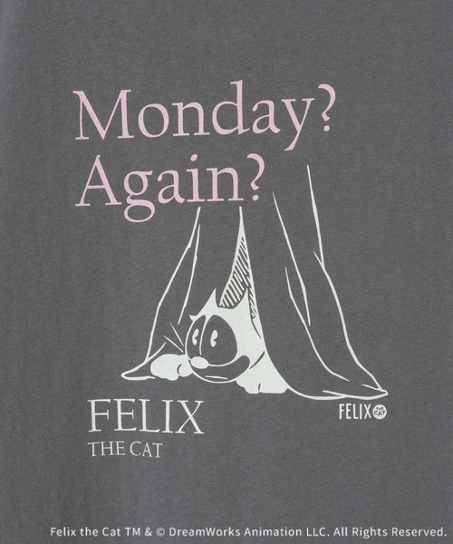 LEPSIM（レプシィム）の「【FELIX】TSS　656731（Tシャツ/カットソー・レディース・グレー/チャコールグレー/オフホワイト・FREE）」の16枚目の写真