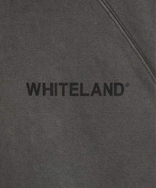 WHITELAND(ホワイトランド)の「【WEB&DEPOT限定】WHITELAND/ホワイトランド/LOGO PIGMENT SWEAT HOODIE(パーカー・メンズ・ベージュ/ブラック・L/M/S)」の5枚目の写真