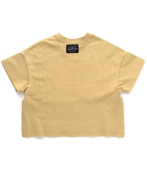 BREEZE(ブリーズ)の「恐竜刺繍Tシャツ(Tシャツ/カットソー・キッズ・チャコール/イエロー/カーキ/パープル/サックスブルー・80/110/140/130/120/90/100)」の11枚目の写真