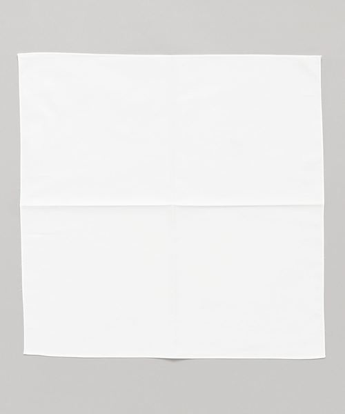 BEAMS PLUS（ビームスプラス）の「BEAMS PLUS / ピマ コットン チーフ（バンダナ/スカーフ・メンズ・ホワイト/ブルー・ONE SIZE）」の2枚目の写真