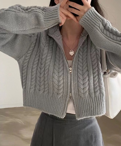 HALEY PESCA（ヘーリーペスカ）の「HALEY PESCA/ショート丈　ダブルジップ ニットトップス（ニット/セーター・レディース・ダークグレー/ライトグレー/アイボリー・FREE）」の9枚目の写真