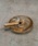 HIGHTIDEinC^Chj́uGLASS ASHTRAY OX AbVgC g[ DM KX NA (S)iAbVgC/C^[jvbuE