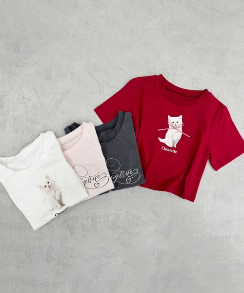 one after another NICE CLAUP（ワンアフターアナザーナイスクラップ）の「アソートTee（Tシャツ/カットソー・レディース・レッド/スミクロ/オフホワイト/ピンク/オートミール・FREE）」の12枚目の写真