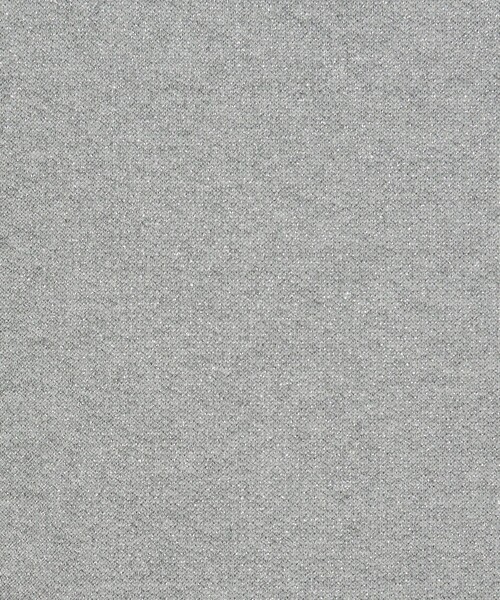 ASTRAET（アストラット）の「＜ASTRAET＞ラメ ウラケ ノースリーブスウェット UNISEX（スウェット・レディース・ダークグレー/ライトグレー・FREE）」の12枚目の写真