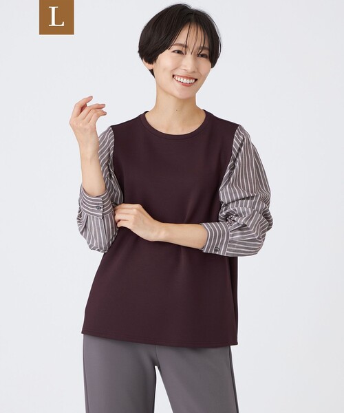 EVEX by KRIZIA(エヴェックスバイクリツィア)の「【L】【ウォッシャブル】ストライプジャカードコンビプルオーバー(Tシャツ/カットソー・レディース・ブルー系その他2/レッド系その他3/ダークネイビー・44)」の3枚目の写真