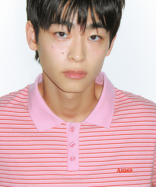 AMESWORLDWIDE(アメスワールドワイド)の「BASIC STRIPE COLLAR TEE PINK(Tシャツ/カットソー・レディース・その他・SMALL/MEDIUM/LARGE)」の16枚目の写真