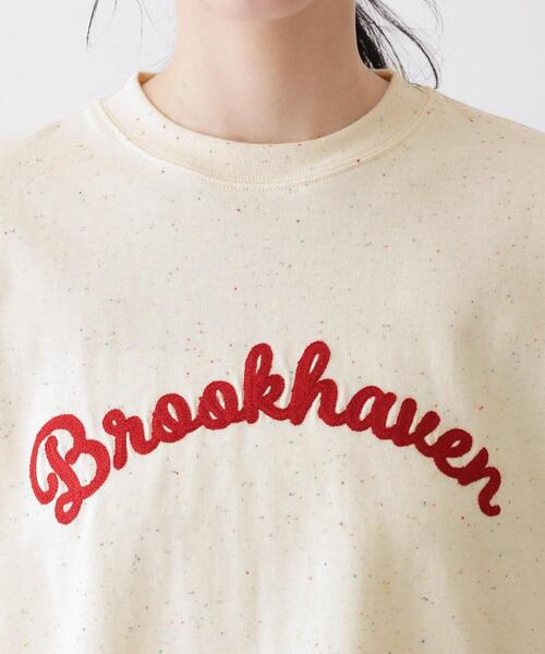Dessin(デッサン)の「【ユニセックス/洗える】ネップロゴ刺繍Tシャツ(Tシャツ/カットソー・レディース・ホワイト/ライトベージュ・04/02/00)」の14枚目の写真