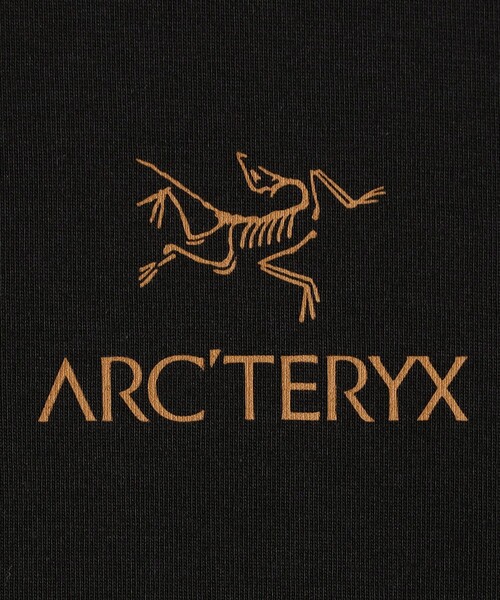 ARC'TERYX(アークテリクス)の「ARC'TERYX/アークテリクス Kragg SL Cotton Bird Word SS M(Tシャツ/カットソー・メンズ・ホワイト/インディゴブルー/ブラック・X-LARGE/MEDIUM/SMALL/LARGE)」の6枚目の写真
