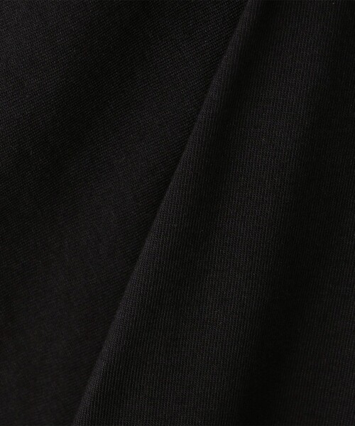 ARC'TERYX(アークテリクス)の「ARC'TERYX/アークテリクス Kragg SL Cotton Bird Word SS M(Tシャツ/カットソー・メンズ・ホワイト/インディゴブルー/ブラック・X-LARGE/MEDIUM/SMALL/LARGE)」の7枚目の写真