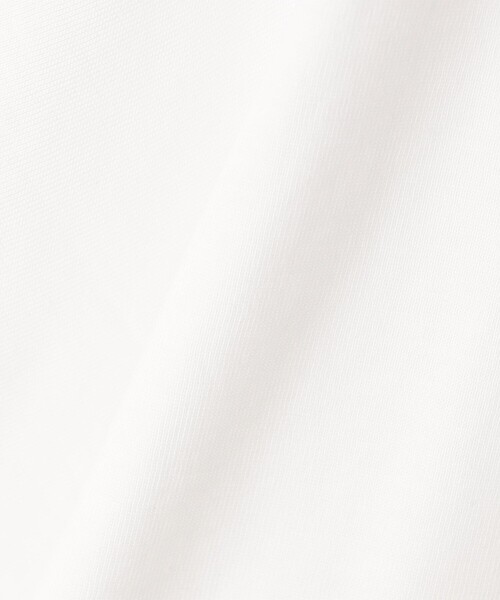 ARC'TERYX(アークテリクス)の「ARC'TERYX/アークテリクス Kragg SL Cotton Bird Word SS M(Tシャツ/カットソー・メンズ・ホワイト/インディゴブルー/ブラック・X-LARGE/MEDIUM/SMALL/LARGE)」の10枚目の写真