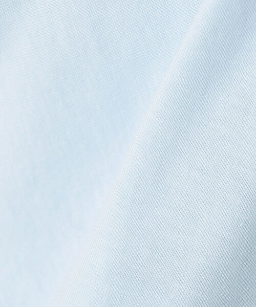 ARC'TERYX(アークテリクス)の「ARC'TERYX/アークテリクス Kragg SL Cotton Bird Word SS M(Tシャツ/カットソー・メンズ・ホワイト/インディゴブルー/ブラック・X-LARGE/MEDIUM/SMALL/LARGE)」の12枚目の写真