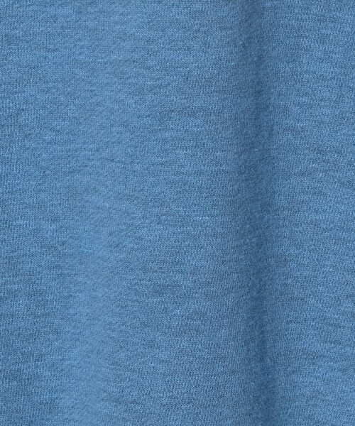 EMMEL REFINES(エメルリファインズ)の「<GULF COAST SPORTSWEAR>ロゴ スウェット< Select by EMMEL REFINES >(スウェット・レディース・コバルトブルー/ライトグレー・L)」の11枚目の写真