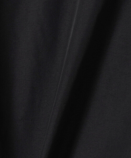 THE NORTH FACE(ザノースフェイス)の「限定展開 THE NORTH FACE/ザ・ノース・フェイス Mountain Light Jacket / マウンテンライトジャケット / NP62550(ナイロンジャケット・メンズ・ブラック・XX-LARGE/X-LARGE/LARGE/MEDIUM)」の2枚目の写真