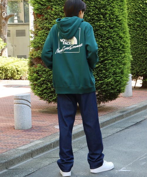 THE NORTH FACE/ザ・ノースフェイス Mens Graphic Injection
