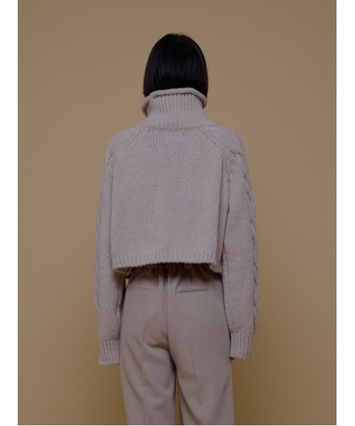 AMAIL(アマイル)の「Minimam poco knit(ニット/セーター・レディース・アイボリー/グレー/ベージュ・FREE)」の8枚目の写真