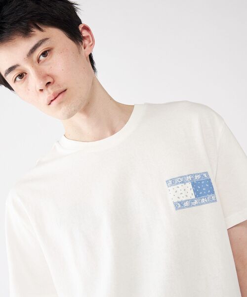 [ JEANS] リラックスペイズリーフラッグTシャツ ★大人気★ TOMMY JEANS tシャツ リラックスペイズリーフラッグTシャツ