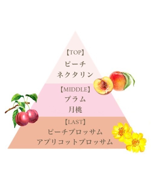 FERNANDA（フェルナンダ）の「フレグランスプレミアムハンドソープ（モモ）/Fragrance Premium Hand Soap (Momo)（ハンドソープ・レディース・その他・FREE）」の2枚目の写真