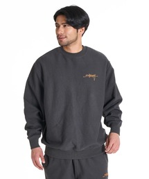 【直営店限定】BILLABONG メンズ SCRIPT LOGO トレーナー 【2025年秋冬モデル】ビラボンセットアップ対応ロゴワンポイント刺繍プルオーバークルーネックスウェットトレーナー
