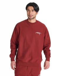 【直営店限定】BILLABONG メンズ SCRIPT LOGO トレーナー 【2025年秋冬モデル】ビラボンセットアップ対応ロゴワンポイント刺繍プルオーバークルーネックスウェットトレーナー