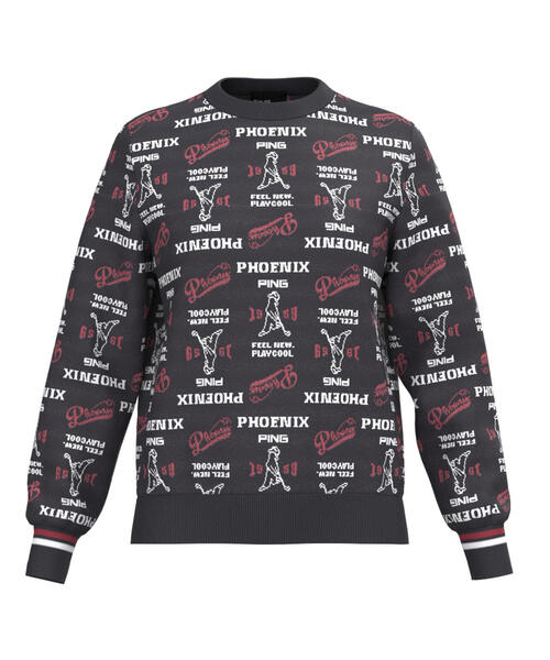 PING APPAREL】ジャガード総柄クルーネックニットプルオーバー