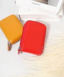 FUNALIVE(�t�@���A���C�u)�̃A�R�[�f�B�I���p�X�J�[�h�z���_�[(�J�[�h�P�[�X)