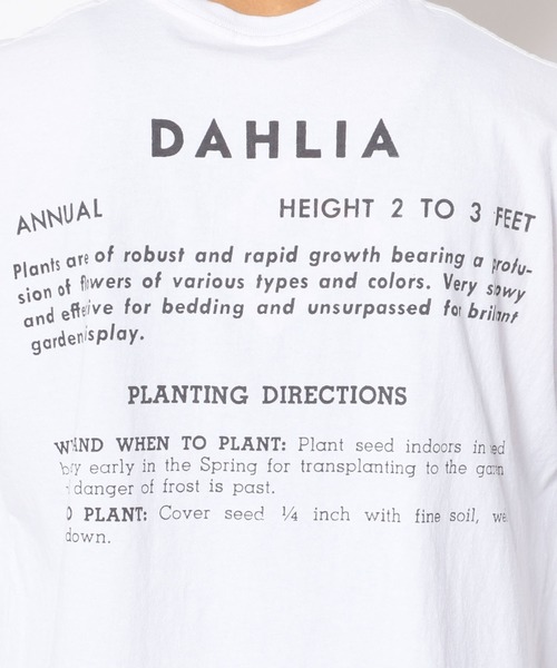 niche.（ニッチ）の「niche.(ニッチ) Flower seeds Tシャツ DAHLIA（T 