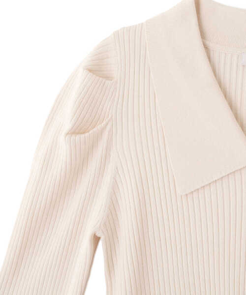 PROPORTION BODY DRESSING（プロポーションボディドレッシング）の「Ｖネック襟付きニット / 1212170107（ニット/セーター・レディース・ネイビー/オフホワイト/イエロー系その他・SMALL/MEDIUM）」の17枚目の写真