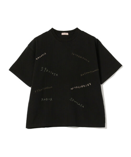 ビームスライツ 楽天市場】【SALE／60%OFF】BEAMS LIGHTS / パラシュート