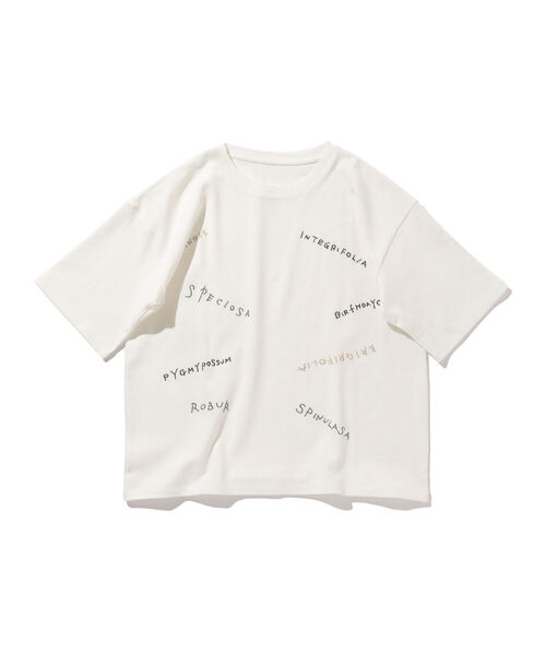 BEAMS LIGHTS（ビームスライツ）の「BEAMS LIGHTS / 刺繍 Tシャツ（Tシャツ/カットソー・メンズ・ホワイト/ブラック・S/M/L）」の19枚目の写真