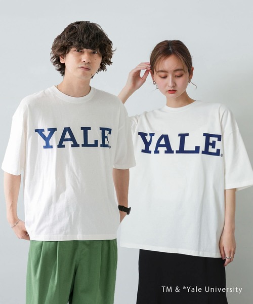 SENSE OF PLACE by URBAN RESEARCH（センスオブプレイスバイアーバンリサーチ）の「『ユニセックス』『別注』YALEカレッジロゴTシャツ A（Tシャツ/カットソー・メンズ・ライトブルー/ホワイト/ライトグレー/ブラック・MEDIUM/LARGE）」の2枚目の写真