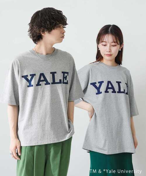 SENSE OF PLACE by URBAN RESEARCH（センスオブプレイスバイアーバンリサーチ）の「『ユニセックス』『別注』YALEカレッジロゴTシャツ A（Tシャツ/カットソー・メンズ・ライトブルー/ホワイト/ライトグレー/ブラック・MEDIUM/LARGE）」の3枚目の写真